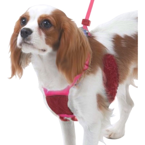 Sporn Stop Pulling Dog Pet Harness Small Necks 9-12" Training Pink - Picture 1 of 7